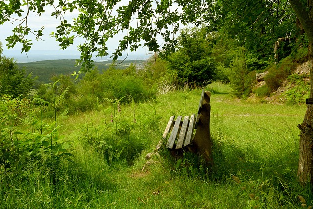皇马执教岁 皇马执教岁