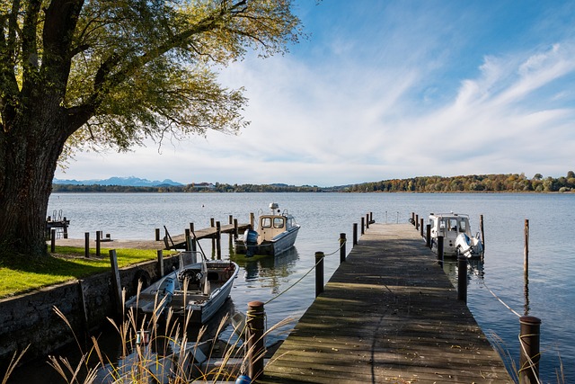 英超在全球 英超在全球