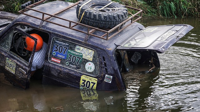 健康的生活 健康的生活